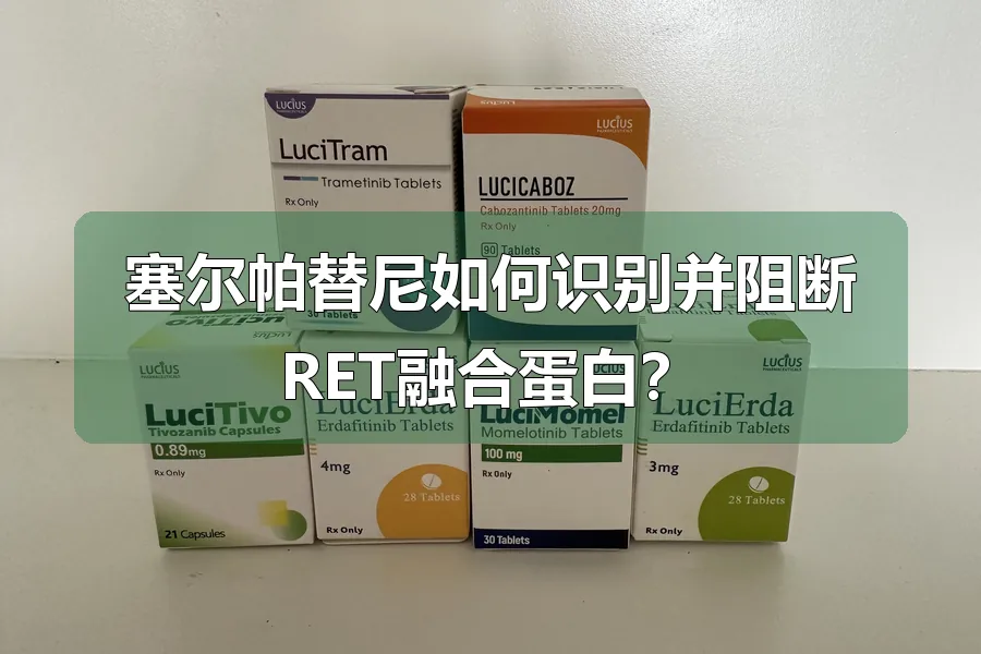 塞尔帕替尼如何识别并阻断RET融合蛋白？